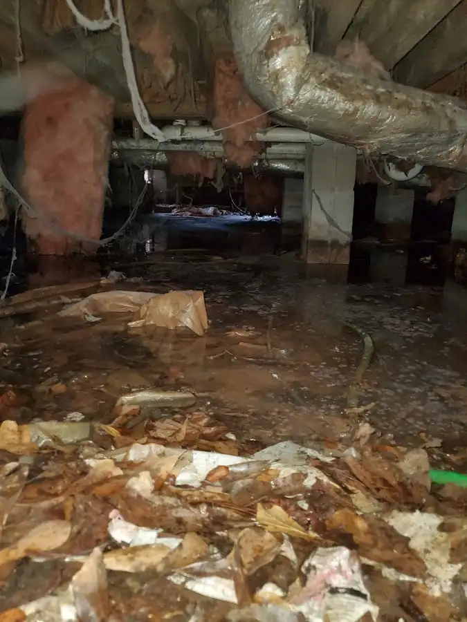 Crawl space flood assessment for Leak Detection & Repair in Duncan