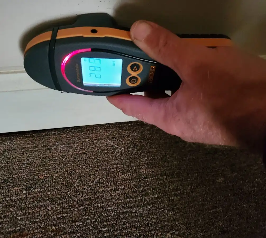 Moisture detection at baseboard during Mold Inspection & Testing in Duncan